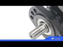 BMER-2-300-FH-SW हाइड्रोलिक मोटर कम गति उच्च टॉर्क 18.08 घन इंच विस्थापन