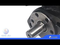 रिलीफ वाल्व के साथ BMP-200-2-E-D-B हाइड्रोलिक मोटर, SAE 6B शाफ्ट, BSPP पोर्ट