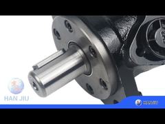 रियर पोर्ट BMR160 मोटर के साथ हाइड्रोलिक मोटर