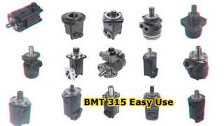 बीएमटी -315