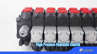 DCV60 अनुभाग वाल्व