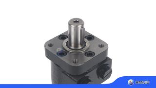 बीएमपीएच-50-एच4-आरएस 25 तस्वीरें