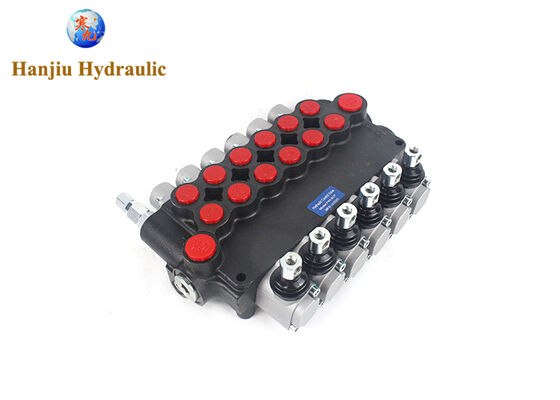 पी 80 सीरीज मोनोब्लॉक कंट्रोल वाल्व,6 स्प्रिंग कंट्रोल वाले हैंडल, बीएसपीपी पोर्ट